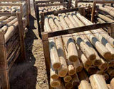 Rundholz Robinie - 100–140 mm 3,00 m, 100–140 mm 4,00 m
