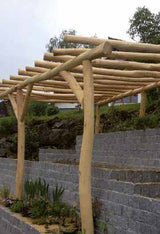 Rundholz Robinie - 100–140 mm 3,00 m, 100–140 mm 4,00 m